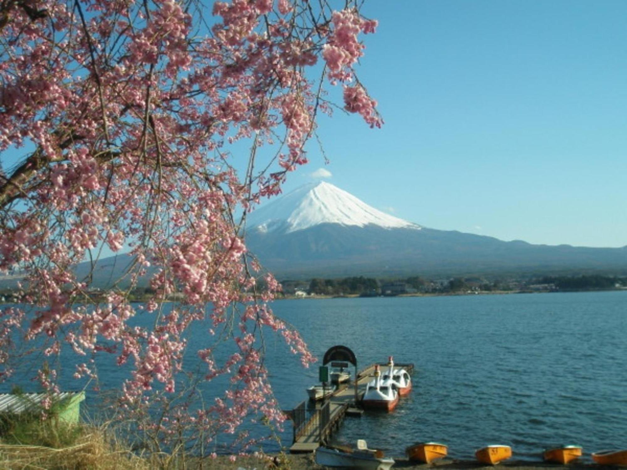 Lake Kawaguchi Rental Villa Tozawa Center - Vacation Stay 46850V Фуджикавагучико Екстериор снимка